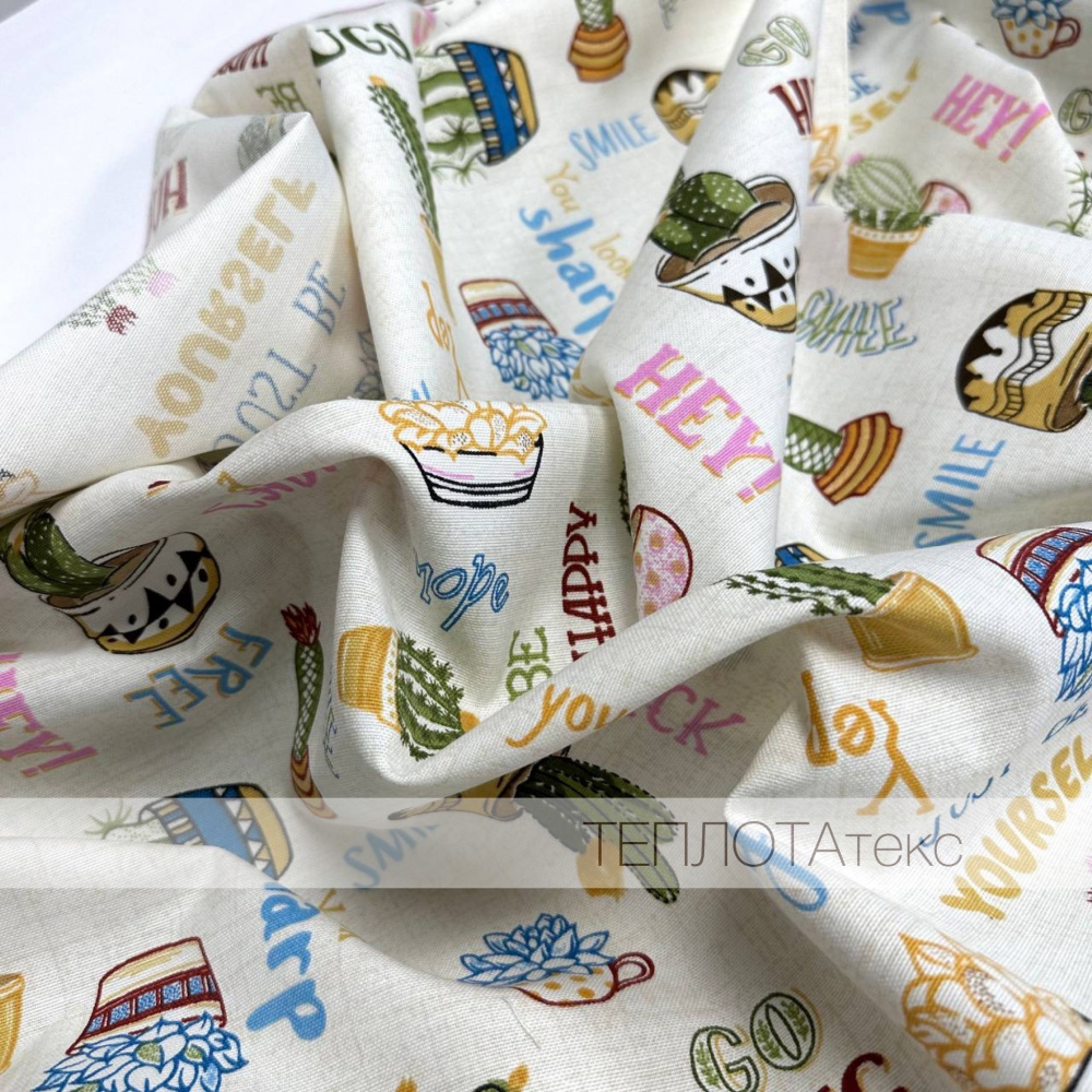 Кактусы 2138