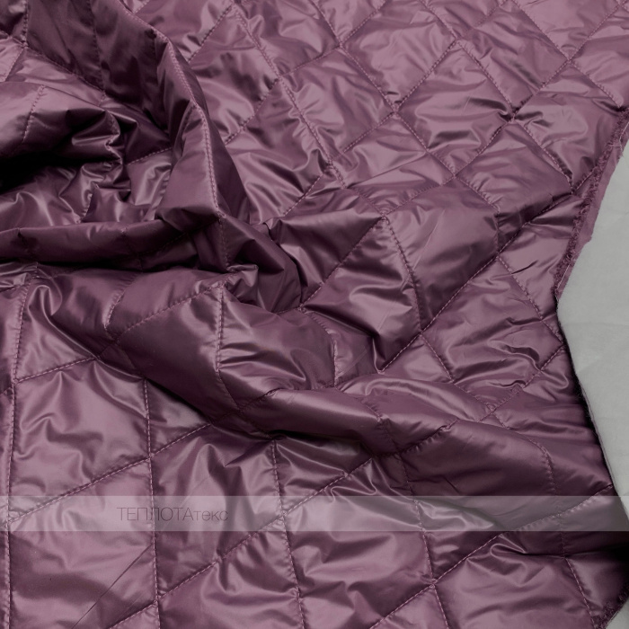 1899Итальянская слива