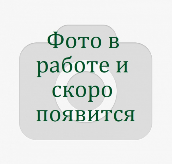 фото в работе