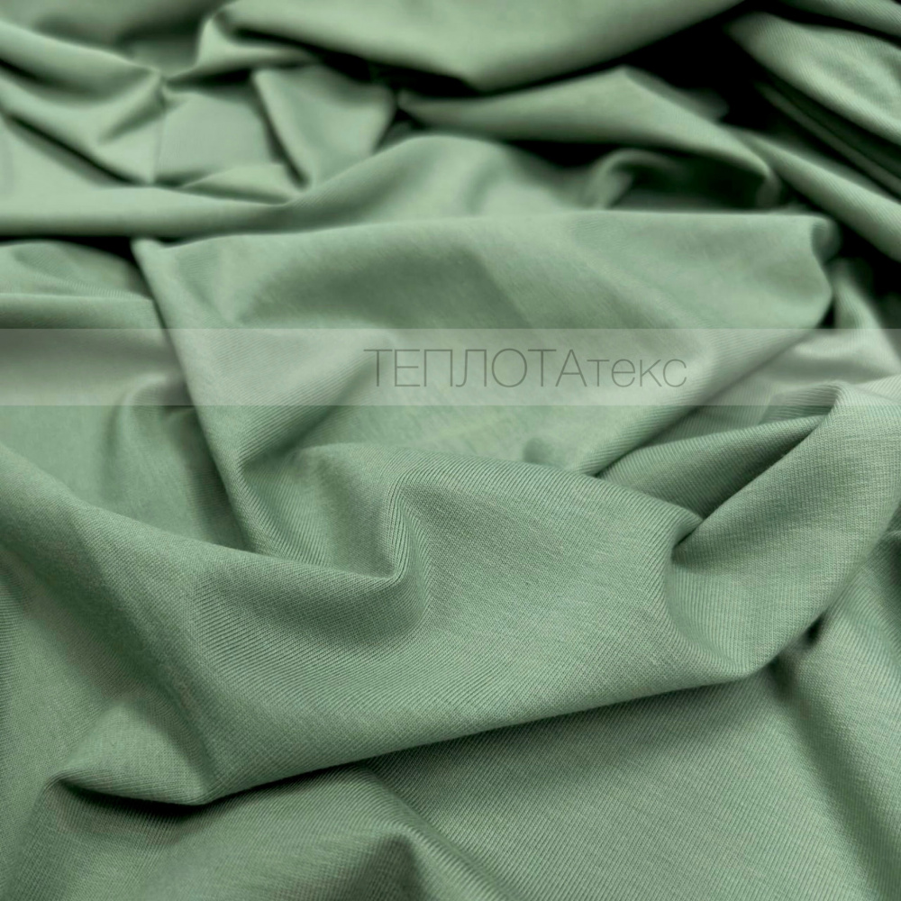 2159 пыльн.мята